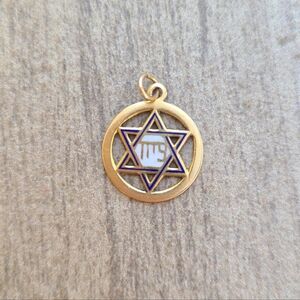 10k Gold and Enamel Star of David Pendant Charm
